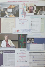 Methodist History